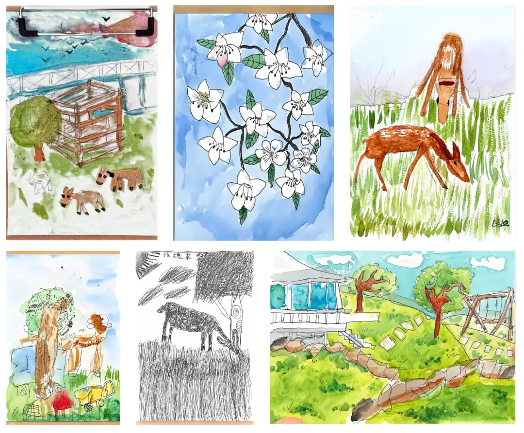 这个春天,不做试卷的答题家,做自然探索的艺术家! 第10张