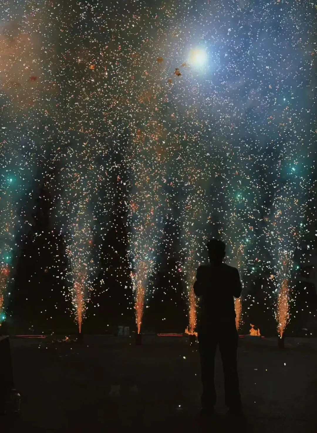 这个春天,不做试卷的答题家,做自然探索的艺术家! 第12张