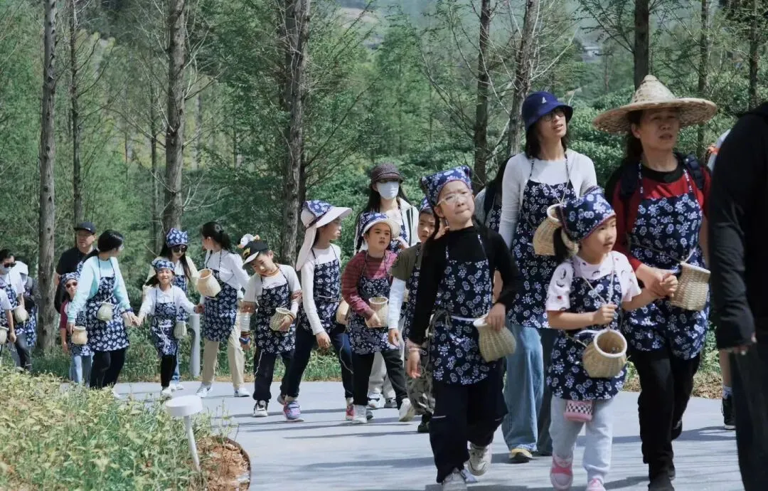 这个春天,不做试卷的答题家,做自然探索的艺术家! 第13张