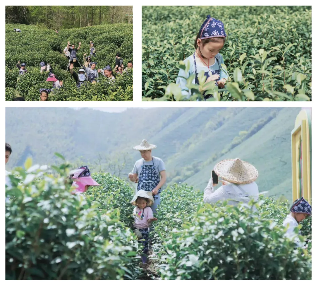 这个春天,不做试卷的答题家,做自然探索的艺术家! 第15张