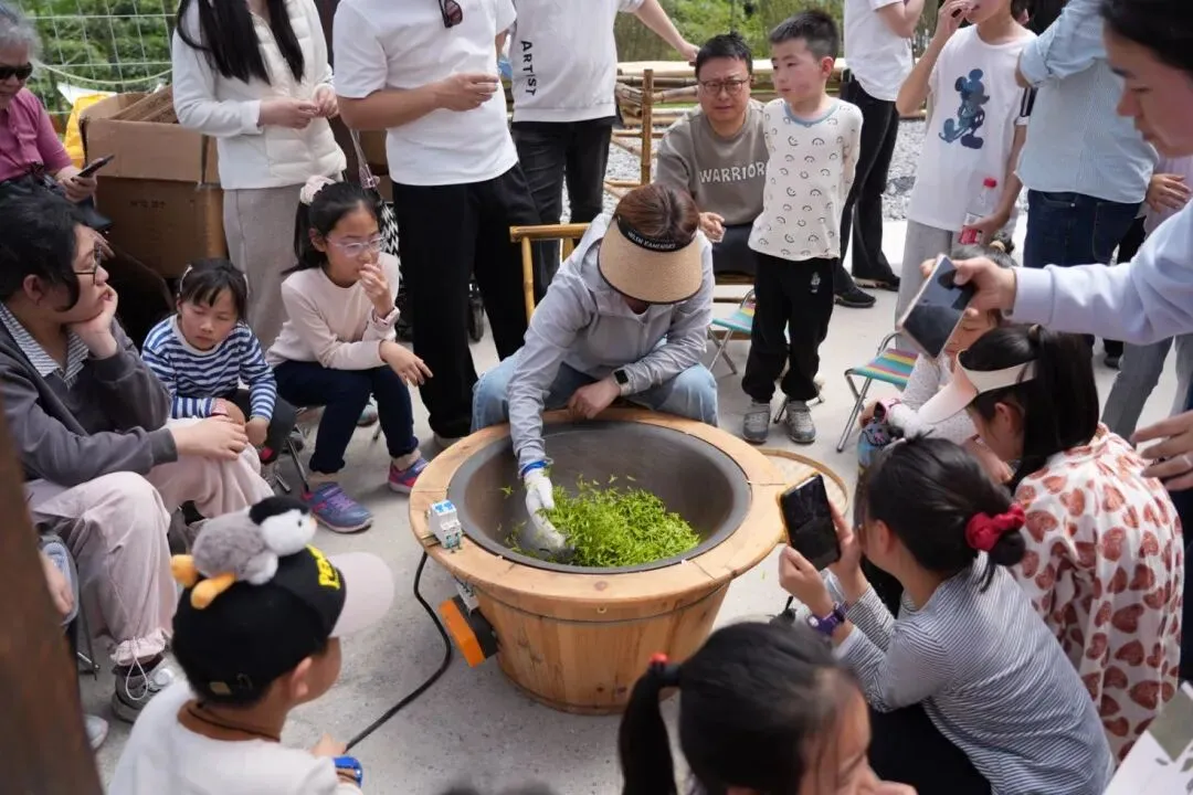 这个春天,不做试卷的答题家,做自然探索的艺术家! 第16张