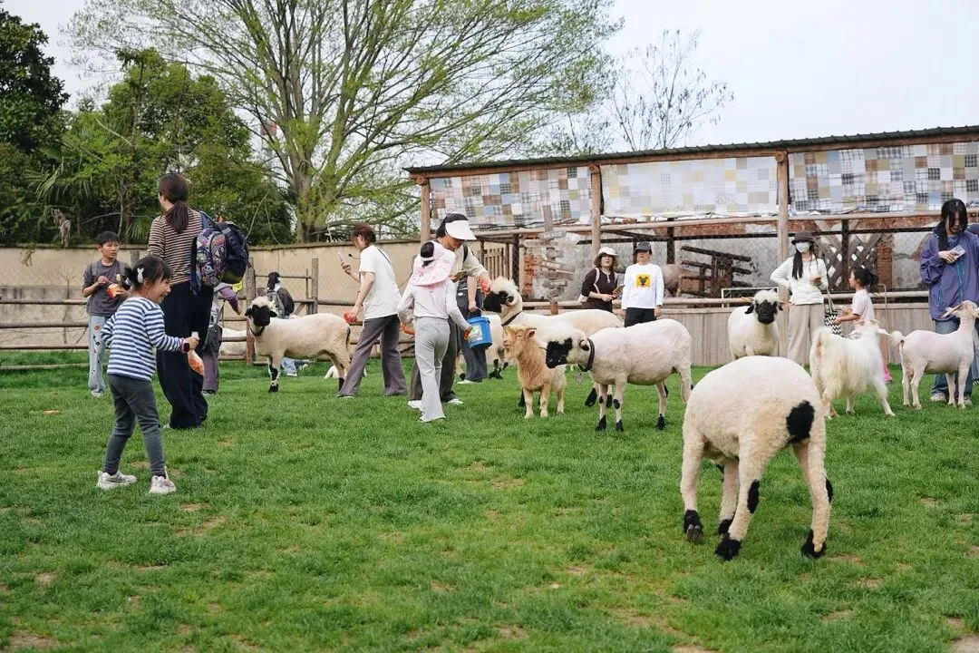 这个春天,不做试卷的答题家,做自然探索的艺术家! 第19张