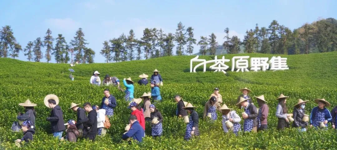 这个春天,不做试卷的答题家,做自然探索的艺术家! 第23张