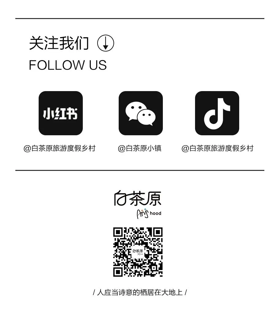 这个春天,不做试卷的答题家,做自然探索的艺术家! 第25张