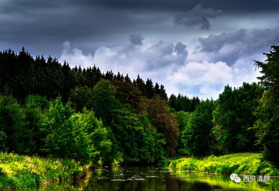 中考物理各章节知识点考点分析 第1张