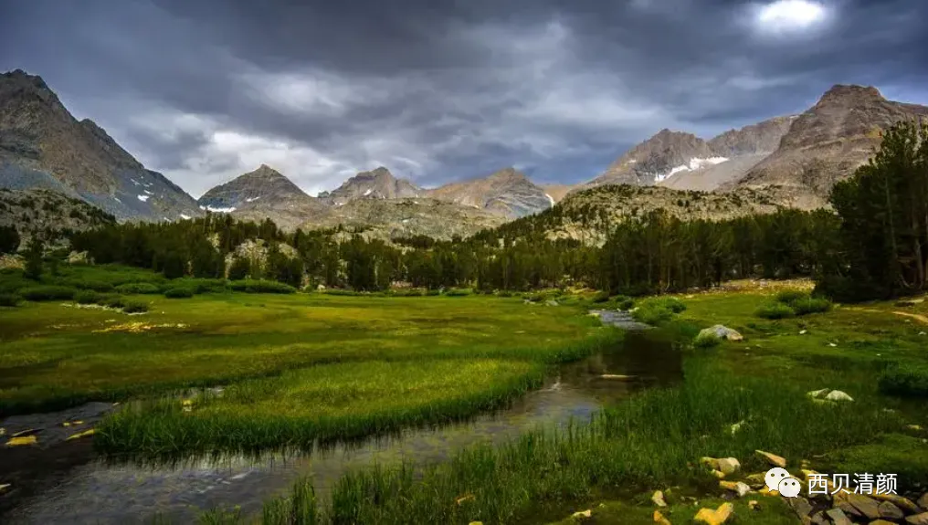 中考物理各章节知识点考点分析 第10张