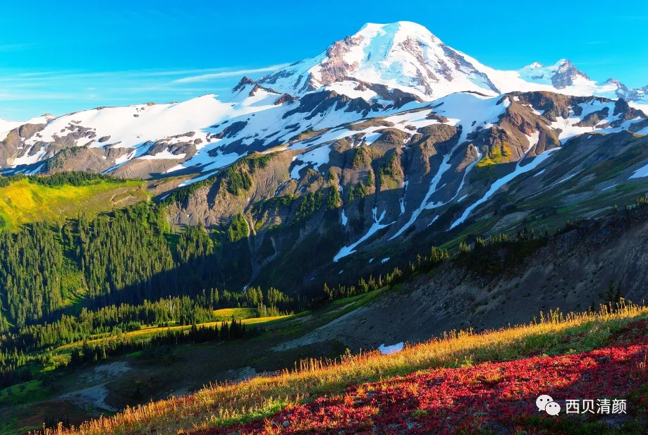 中考物理各章节知识点考点分析 第47张