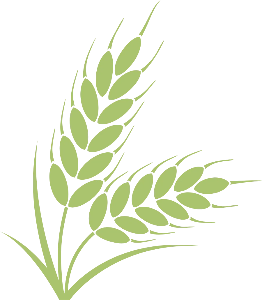 2025雅思写作真题深度拆解:4篇范文+解题框架+高频句式,攻克写作难关! 第4张