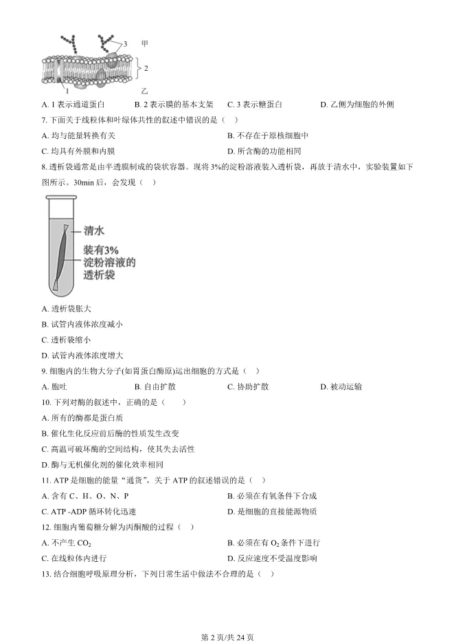 2024北京顺义高一上册期末生物试卷(有答案)【可下载】 第2张