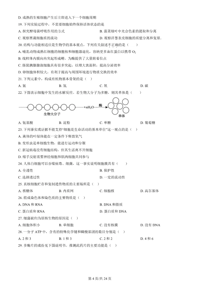 2024北京顺义高一上册期末生物试卷(有答案)【可下载】 第4张