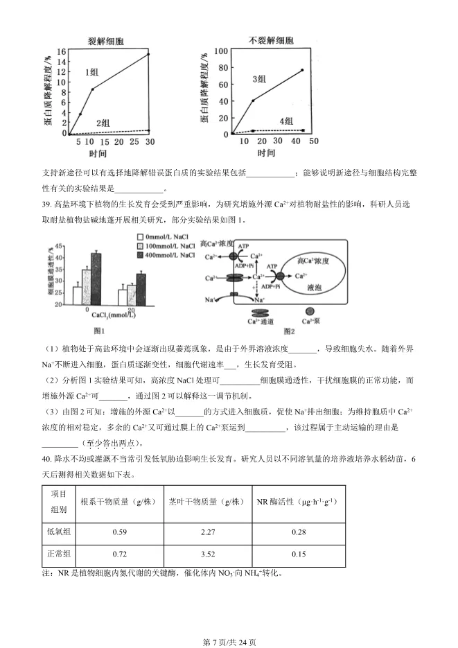 2024北京顺义高一上册期末生物试卷(有答案)【可下载】 第7张