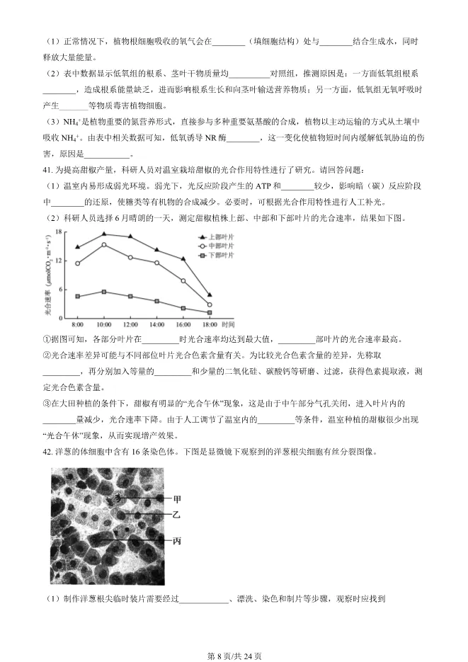 2024北京顺义高一上册期末生物试卷(有答案)【可下载】 第8张