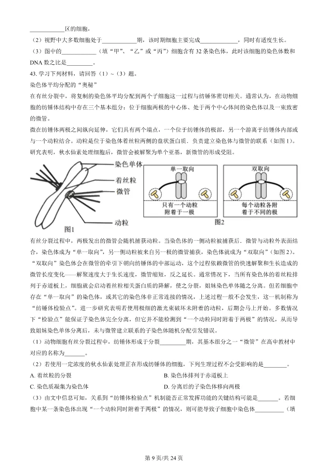 2024北京顺义高一上册期末生物试卷(有答案)【可下载】 第9张
