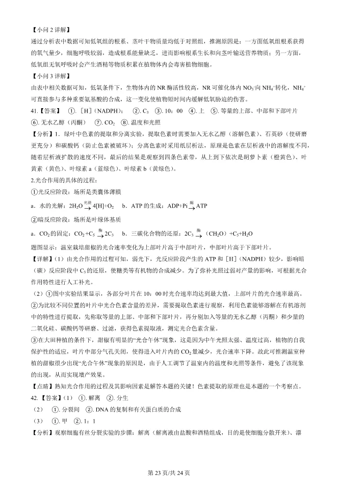 2024北京顺义高一上册期末生物试卷(有答案)【可下载】 第23张