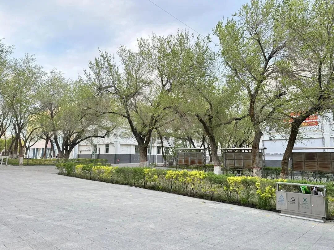 开完女儿的中考家长会,我想起了一些事 第1张