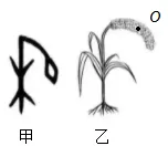 中考物理二轮专题复习——力学作图 第1张