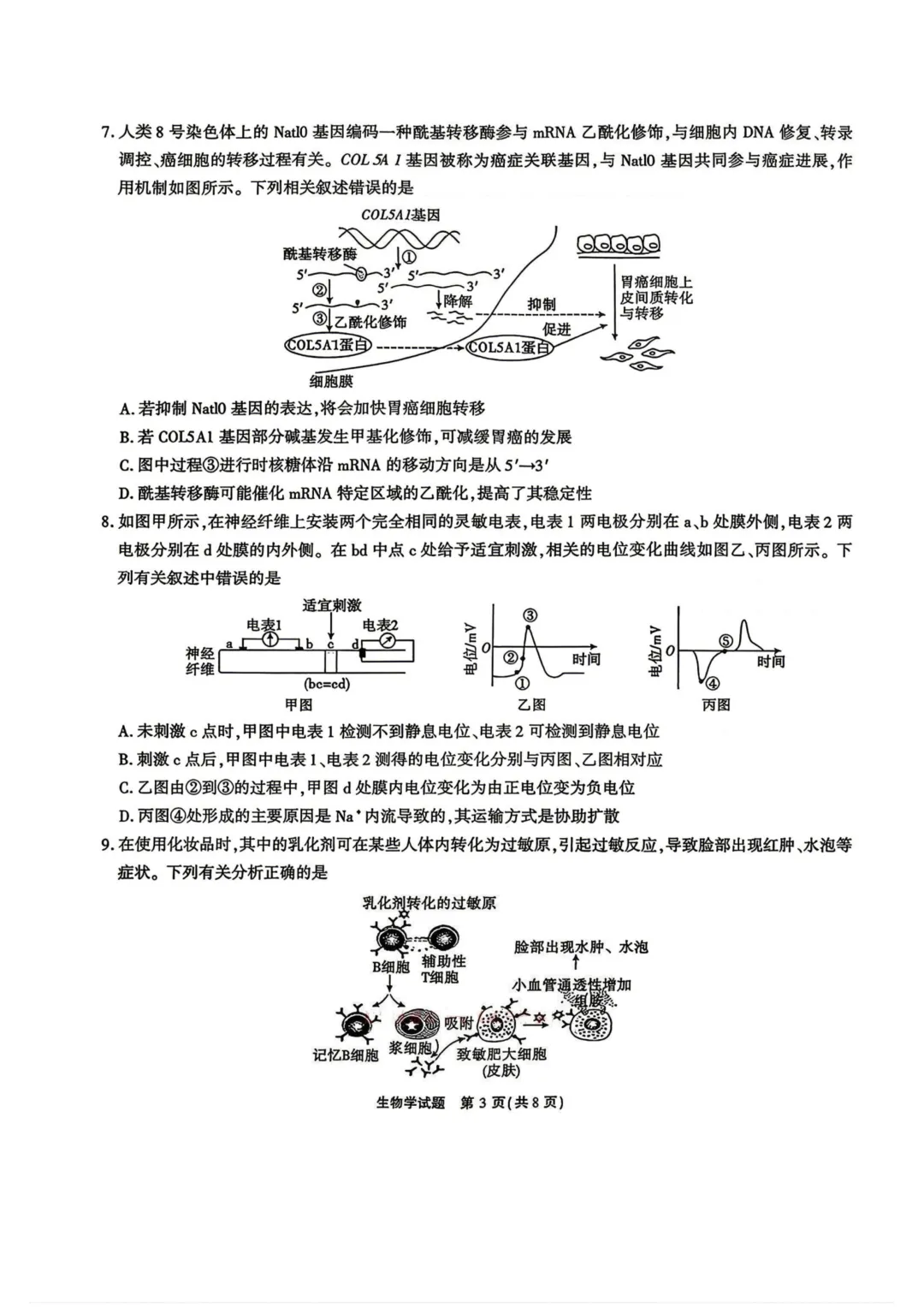 江淮十校2026届高三4月模拟考试试题及答案 第6张