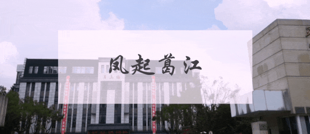 【凤起葛江】全体初三学生,中考体育冲分攻略已送达! 第1张