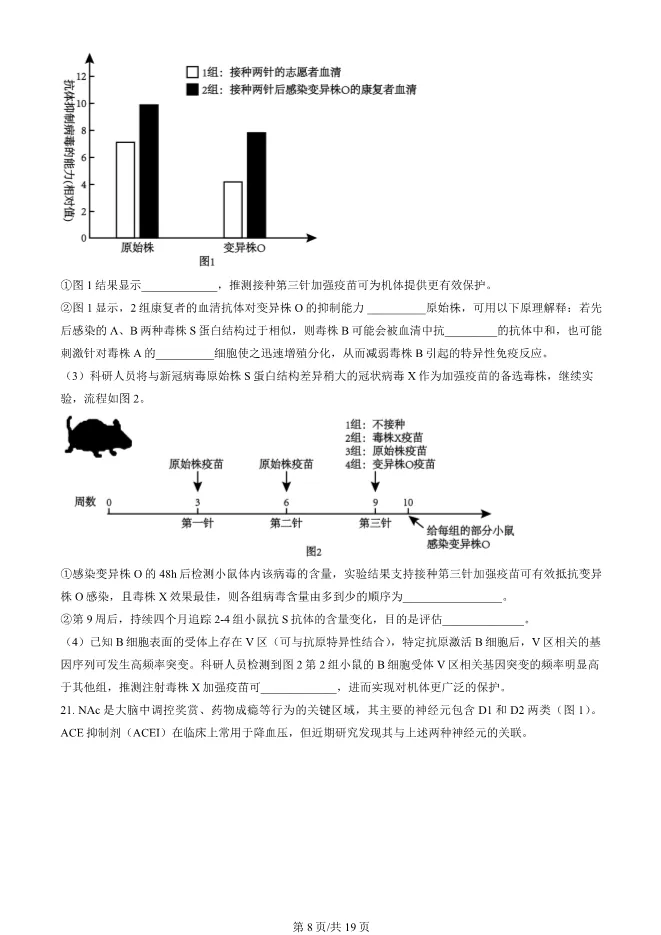 2024北京顺义高二上册期末生物试卷(有答案)【可下载】 第8张