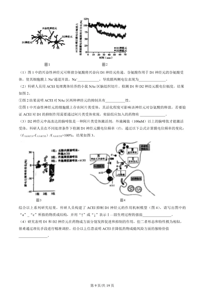 2024北京顺义高二上册期末生物试卷(有答案)【可下载】 第9张