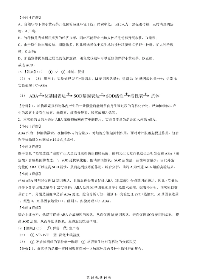 2024北京顺义高二上册期末生物试卷(有答案)【可下载】 第16张