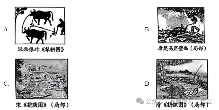 【中考真题】2025中考山东威海市初中学业水平考试历史试题(含参考答案解析) 第2张