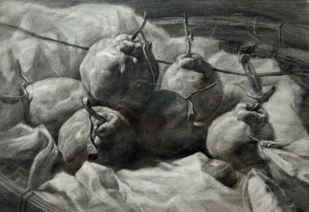 【铭师中考班】2026铭师艺术美术中考班招生简章,助力学子圆梦理想高中! 第11张