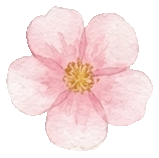 每周两练|小学文言文真题训练 第16张