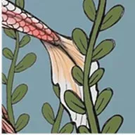 【铭师中考班】2026铭师艺术美术中考班招生简章,助力学子圆梦理想高中! 第28张