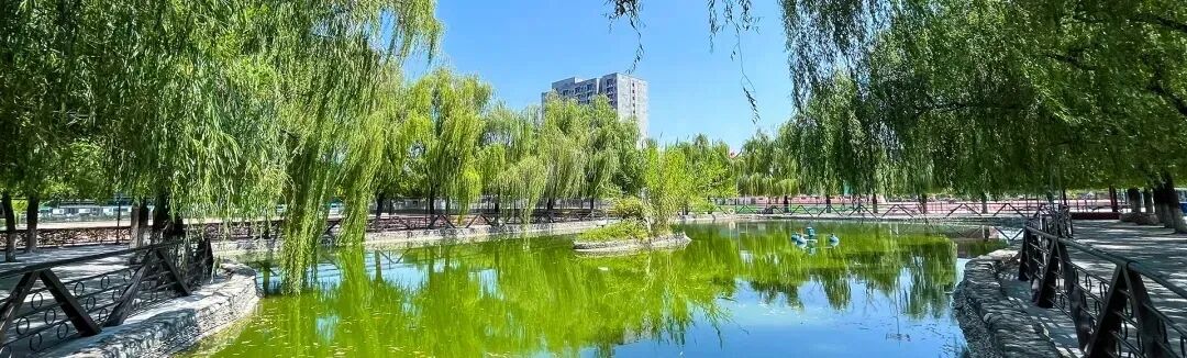 动手实操探真知 全力备战迎中考——羲城中学九年级实验训练纪实 第1张