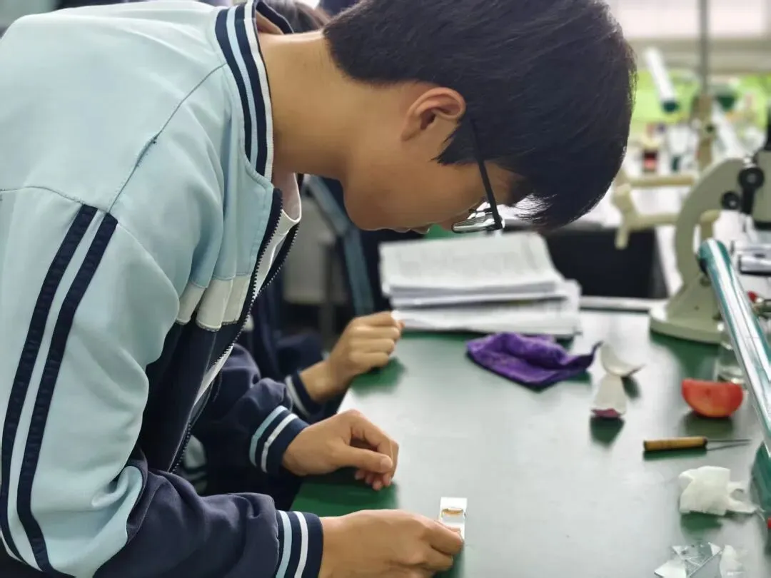 动手实操探真知 全力备战迎中考——羲城中学九年级实验训练纪实 第2张