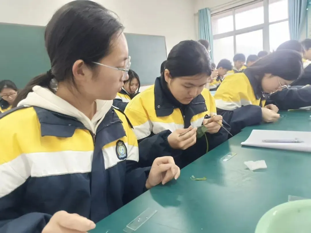 动手实操探真知 全力备战迎中考——羲城中学九年级实验训练纪实 第7张