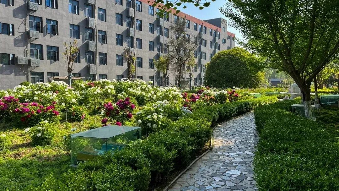 动手实操探真知 全力备战迎中考——羲城中学九年级实验训练纪实 第8张