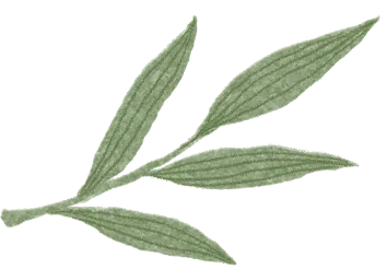 研途逐光,赋能中考 第37张