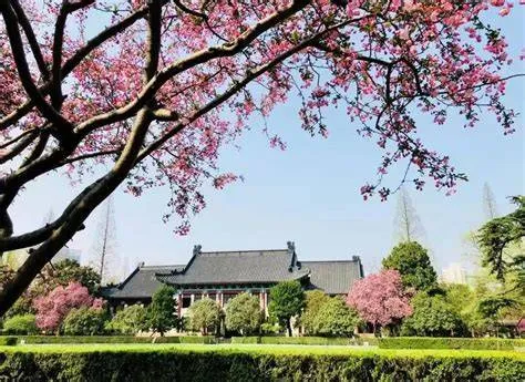 【江苏·南京师范大学】舞蹈考研历年真题分享,看一看难度 第14张