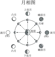 2025年苏州市初中学业水平考试试卷语文(含解析) 第4张