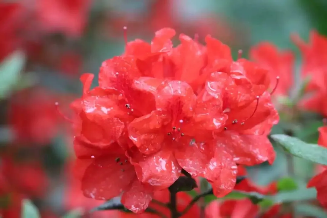 中考凡人微光作文进阶指导范文(五) 第1张