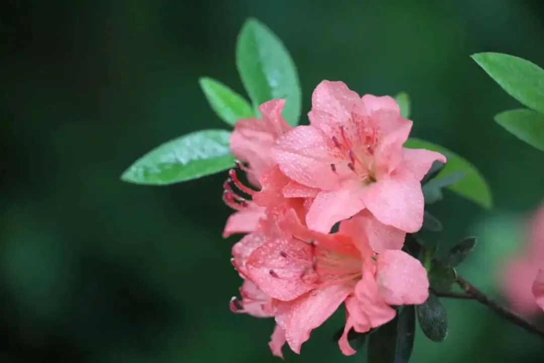 中考凡人微光作文进阶指导范文(五) 第2张