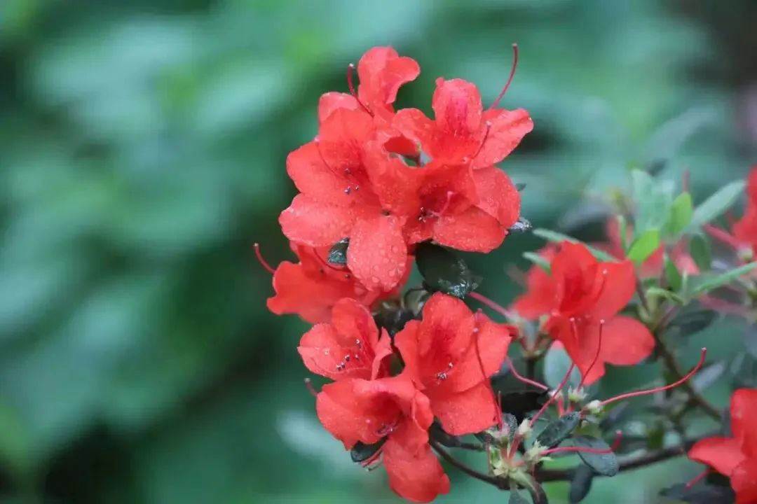 中考凡人微光作文进阶指导范文(五) 第3张