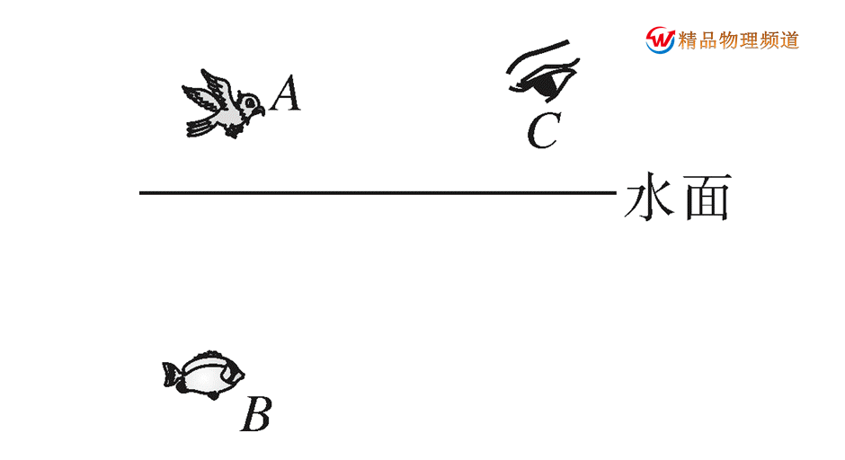 中考物理常见易错基础概念+答题失分点全汇总 第3张