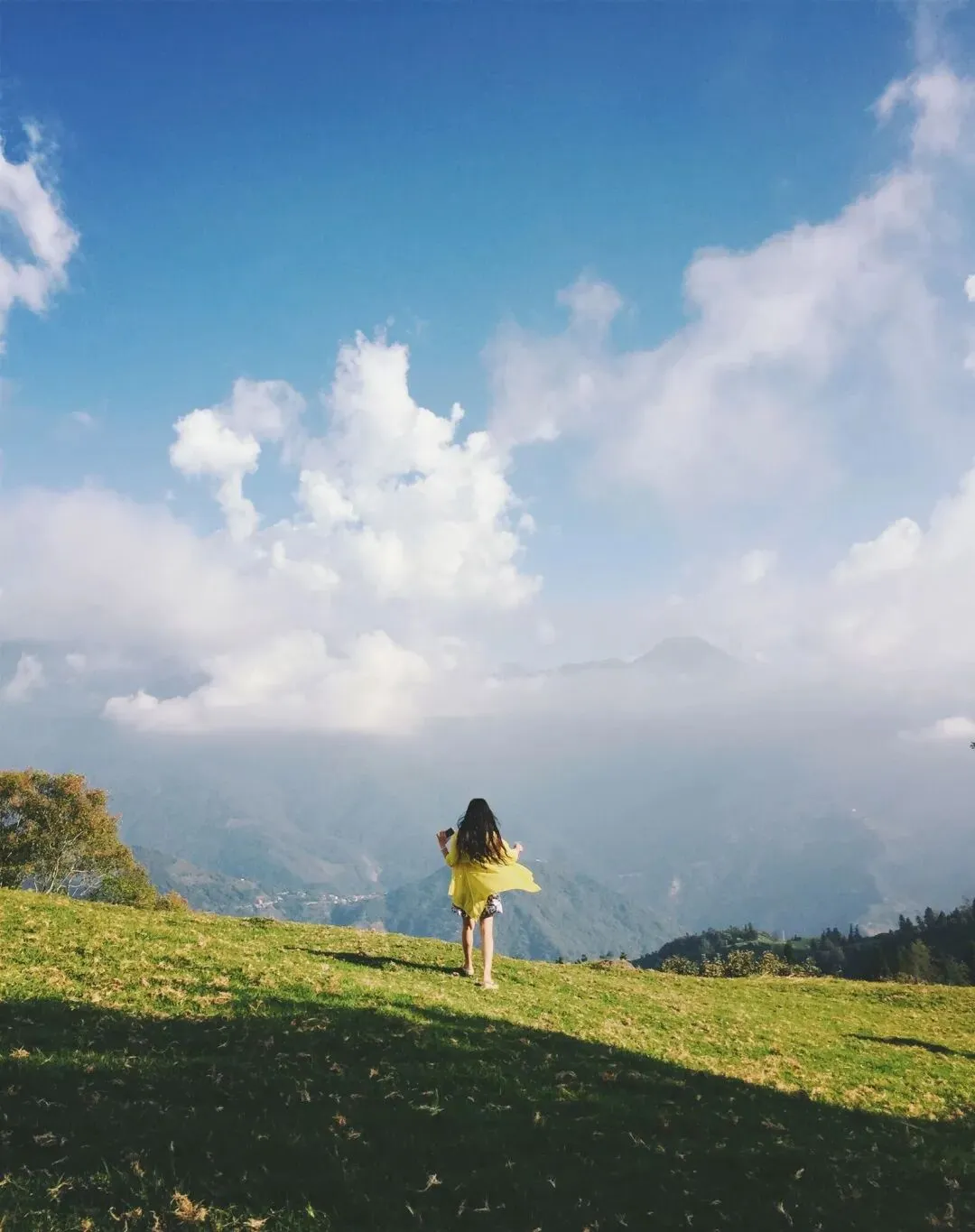 西政新传《新闻学概论》真题、方法、重点,一文总结! 第2张