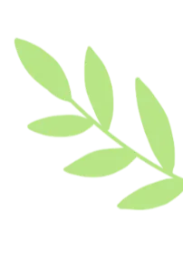 研中考新动向 促教学提质效 丨 我校初中部全体教师参加平顶山市 2026 年中招学科教学研讨会 第7张