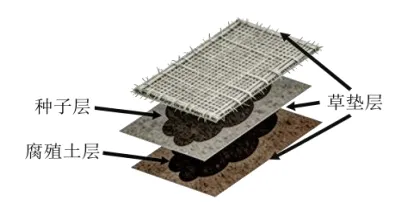 泉州市26年4月生物试卷解析 第3张
