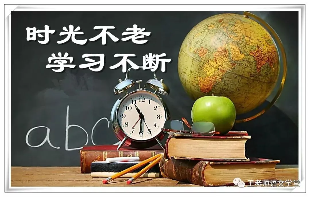 2025年中考二轮复习:议论文阅读之议论文语言 第3张