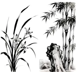 高中语文-语言文字运用-真题汇编高考一模试题型答案考点分类解析二模冲刺备考 第1张