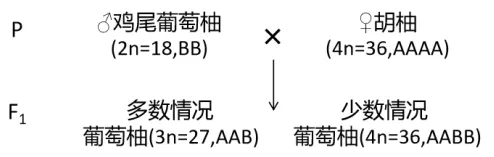 泉州市26年4月生物试卷解析 第10张