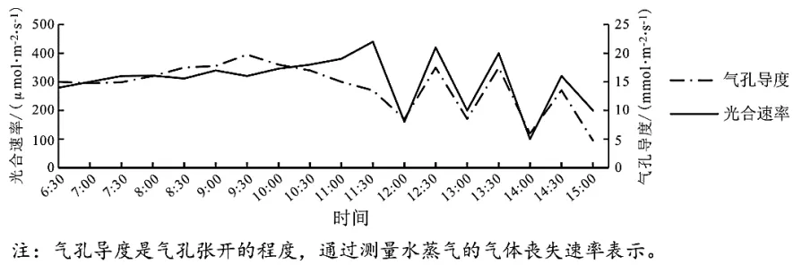 泉州市26年4月生物试卷解析 第13张