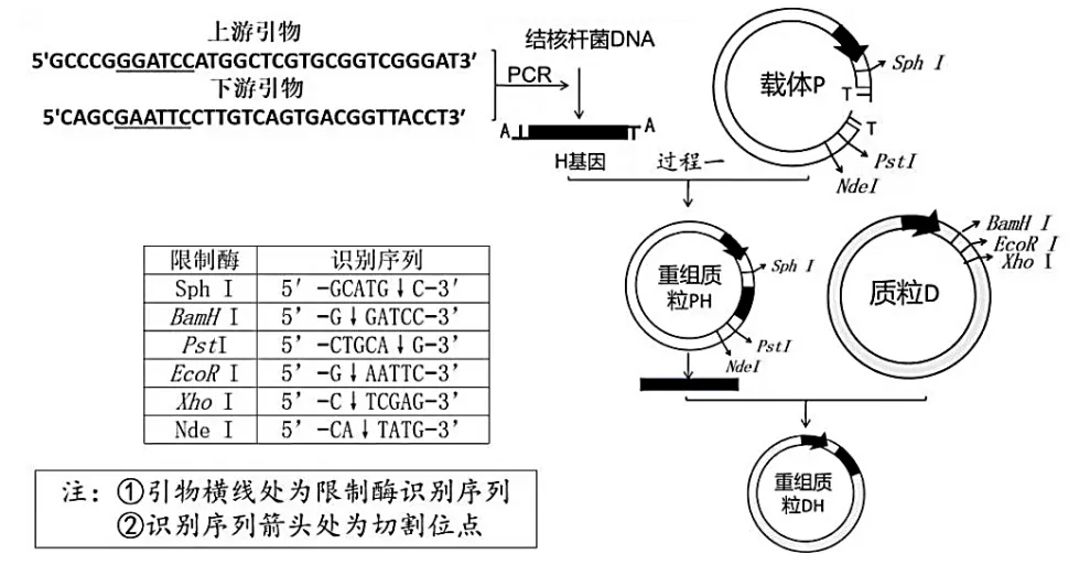 泉州市26年4月生物试卷解析 第15张