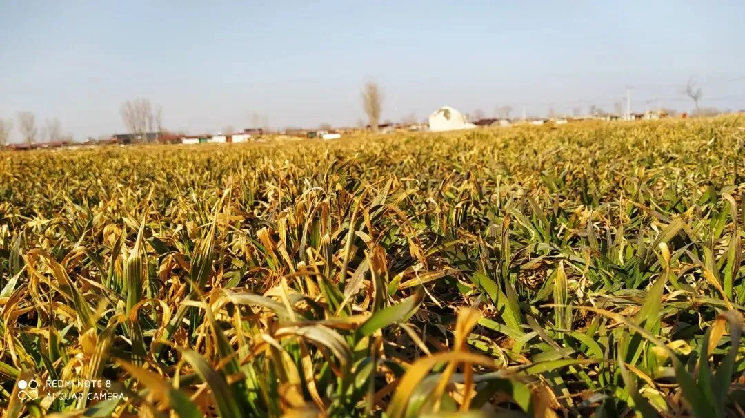 河北高会答辩必看|108道考生回忆版真题,答辩当天考生收集,一次上岸不踩坑! 第3张