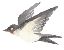 精研复习路径 赋能中考备考|椒江区李冰燕名师工作室第十次研修活动纪实 第8张